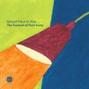 Natural Piece of Aloe - The Funeral of Post-Irony (Bolgarin Remix)