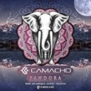 Henrique Camacho - Dinesh