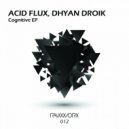 Acid Flux, Dhyan Droik - Perception (Original Mix)