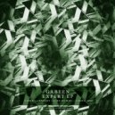 Gabeen - Expert (Acro Remix)