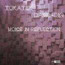 Tokatek & Danisadiq - Voice In Reflection