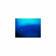 Mindfulness Healing BGM Project - Ace and Nervousness