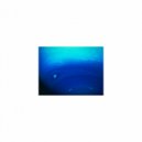 Mindfulness Healing BGM Project - Huygens and Coping skills (Sleep Mix)