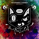 Tom Different & Homeboy - Balkadelic (Original Mix)