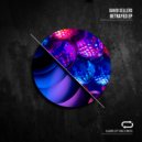 David Sellers - Everlasting (Original Mix)