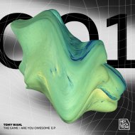 Tomy Wahl - You Are Owesome