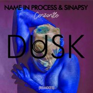Name In Process & Sinapsy & St. Jean - Cenzontle