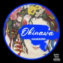 Hawkins - Temple Dunt (Bradley Underground Remix)