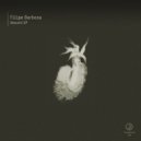 Filipe Barbosa - Descent