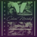 New Waffen - Colani Meinhof (Hiddann Remix)