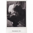 Sasha Umbra - Phenomenon №31