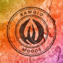 Rawdio - MahGroove (Original Mix)