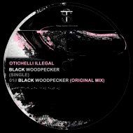 oTichelli Illegal - Black Woodpecker