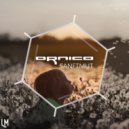 Ornico - Sanftmut (Karo V. Remix)
