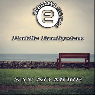Puddle EcoSystem - Say No More