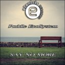 Puddle EcoSystem - Say No More