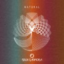 Felix Carmona - Metal (Original Mix)