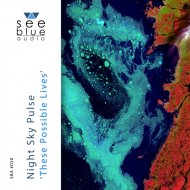 Night Sky Pulse - Edgeland