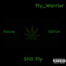 Fly_Warrior - Move On ()