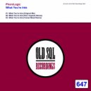PhoniLogic & Perc Capsule - What You're Into