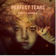 Connie Lansberg & Mark Fitzgibbon & Ben Robertson & Danny Fischer - Perfect Tears (feat. Mark Fitzgibbon, Ben Robertson & Danny Fischer)