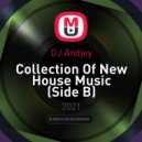 DJ Andjey - Collection Of New House Music