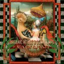 AB - ORGANIC HOUSE & DOWNTEMPO MIX BY DJ ASIA