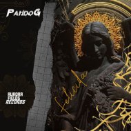 Pando G - Felicida