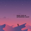 Per Cus If - Problems (Original Mix)