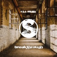 V.S.D. Project - Breakthrough