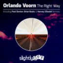 Orlando Voorn - The Right Way (Original Mix)