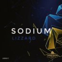 Lizzard - Sodium (Original mix)