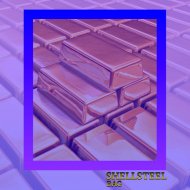 Shellsteel - Bag