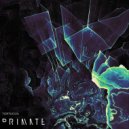 Primate - Tortuous (Original Mix)