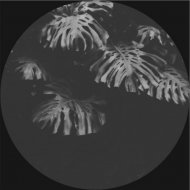 Ben Kaczor - Casia