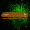 Zirax & Calixxto - Subliminal