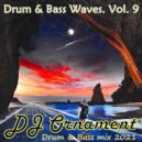 DJ Ornament - Drum & Bass Waves. Vol. 9 ()