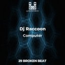 Dj Vl Raccoon - computer