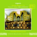 Walter Savant-Levet - Fuga dal Requiem KV626 di Mozart