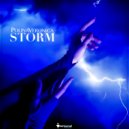 PolinaVeronica - Storm (Original mix)