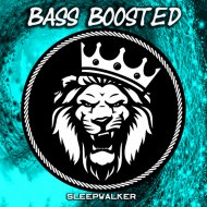 Bass Boosted - Mood Swings
