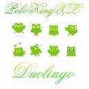 PoloKingXL - Duolingo (Original mix)