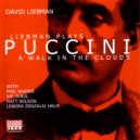 Dave Liebman & Vic Juris & Matt Wilson & Tony Marino - Vogiamenti bene (From the opera (Love Me, Please)