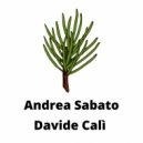 Davide Cali - Larice (Original mix)