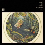 Night On Wish Mountain - Here\'s Looking at You, Crazy