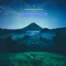 Organic Mood, Alex Plate - Midnight (Original Mix)