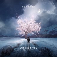 ROY KNOX & CRVN - Without You