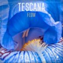 Tescana - Flow (Continuous Mix)