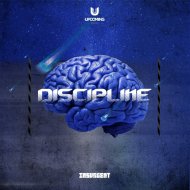 Insurgent - Discipline