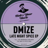 DMIZE - \'Till The Morning